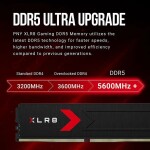 Memoria RAM PNY XLR8 32GB (2 x 16GB) 288-Pin DDR5 6400 MHz CL36 - Imagen 8