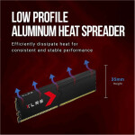 Memoria RAM PNY XLR8 32GB (2 x 16GB) 288-Pin DDR5 6400 MHz CL36 - Imagen 5