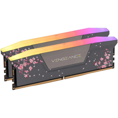 Memoria RAM Corsair Vengeance RGB Custom Lab Cherry Blossom 32GB (2 x 16GB) 288-Pin PC RAM DDR5 6000 MHz CL30