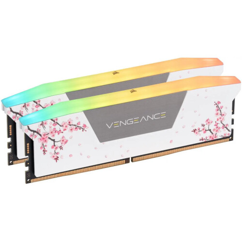 Memoria RAM Corsair Vengeance RGB Custom Lab Cherry Blossom 32GB (2 x 16GB) 288-Pin PC RAM DDR5 6000 MHz CL30