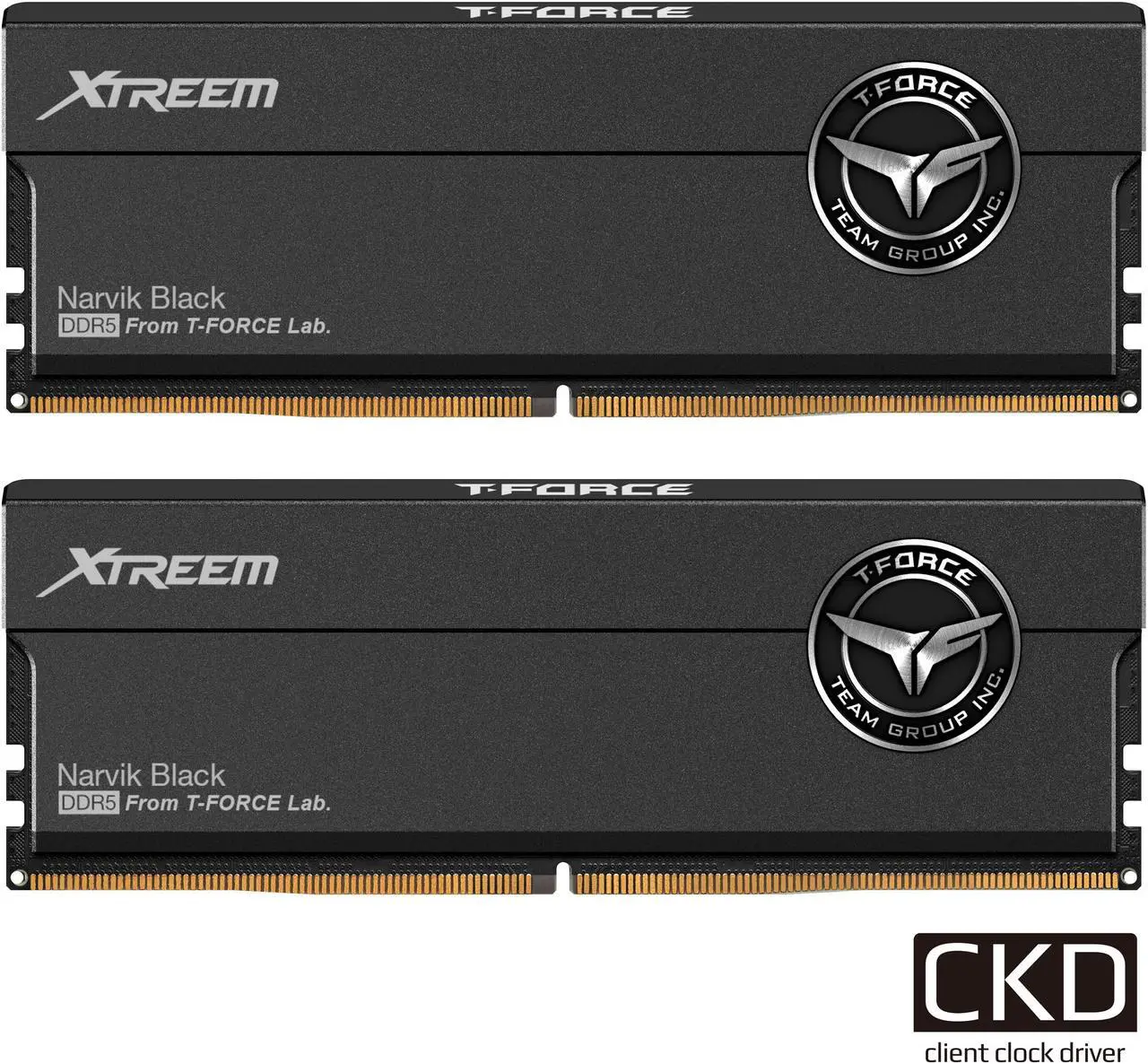 20-985-266-01.webp TEAMGROUP T-FORCE XTREEM CKD DDR5 48GB (2x24GB) 8400MT/s CL42 - Imagen 1