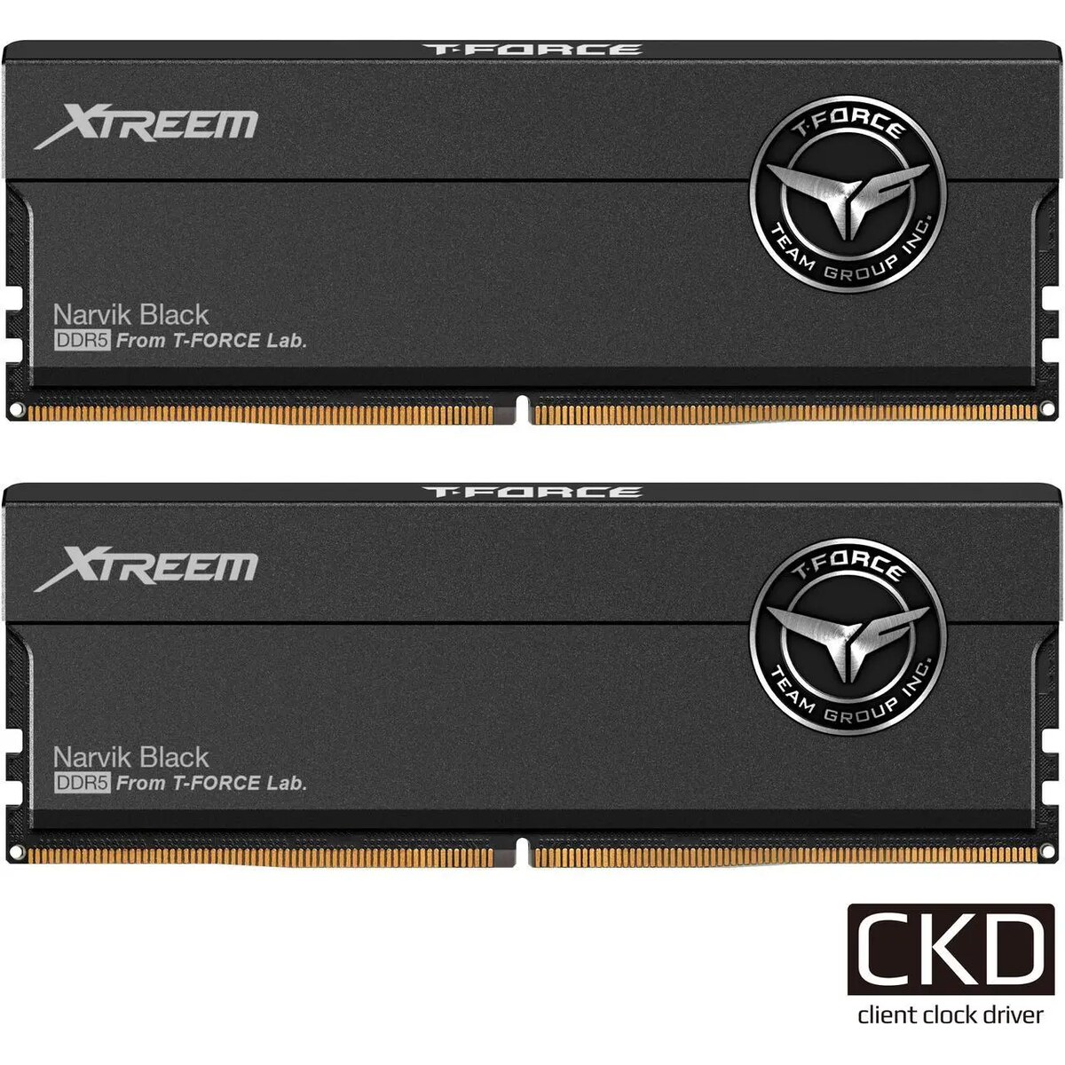 20-985-266-01_square Memoria RAM TEAMGROUP XTREEM CKD 48GB (2 x 24GB) 288-Pin PC RAM DDR5 8400 MHz CL42 - Imagen 1