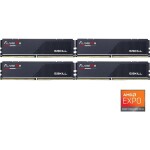 Memoria RAM G.SKILL Flare X5 192GB (4 x 48 GB) 288-Pin DDR5 6000 MHz CL28 - Imagen 2