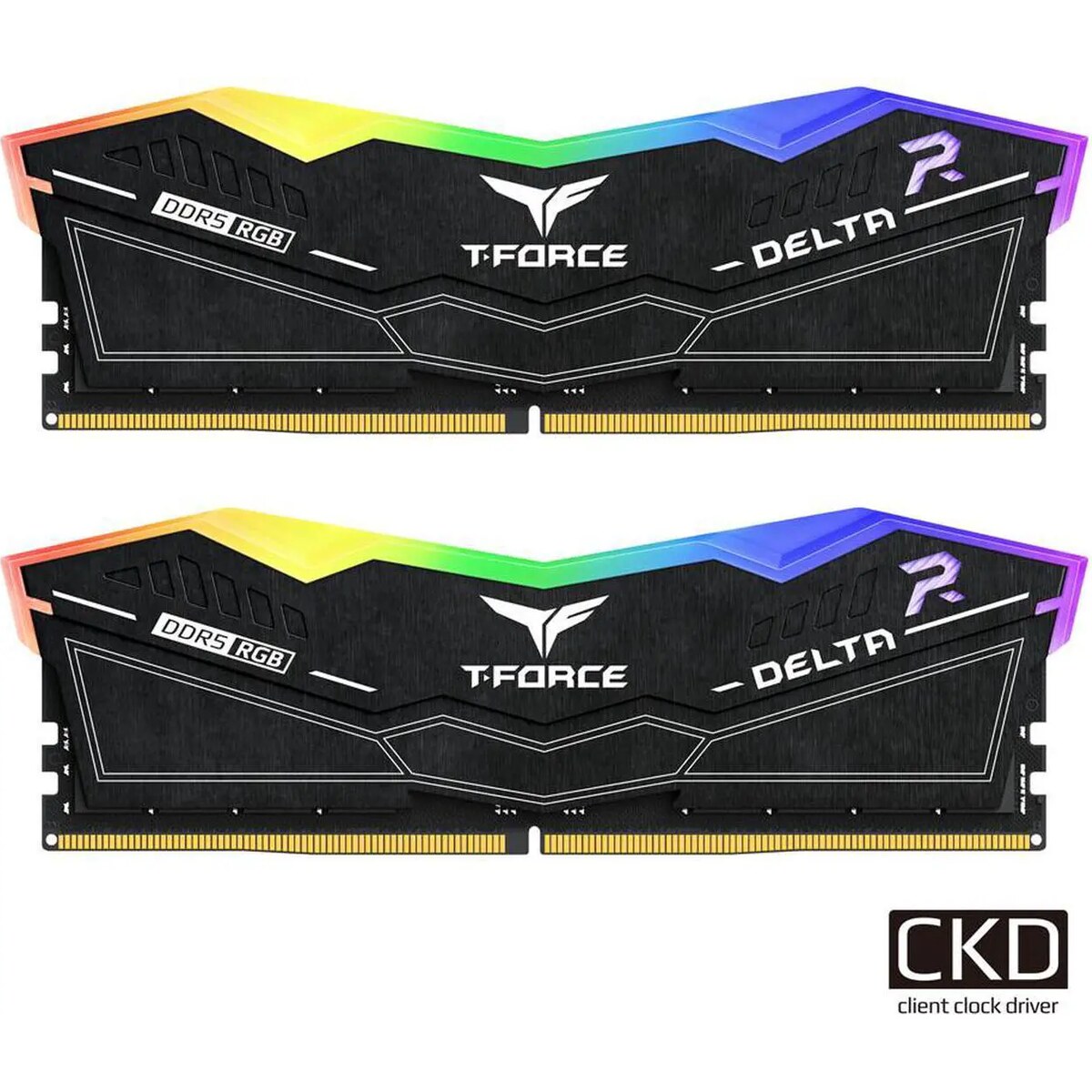 Memoria RAM Team T-Force Delta RGB 48GB (2 x 24GB) 288-Pin DDR5 9600 MHz CL44