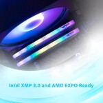 Memoria RAM Patriot Viper Elite 5 32GB (1 x 32GB) 288-Pin DDR5 5600 Mhz CL38 - Imagen 11